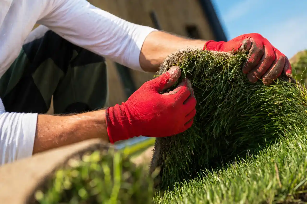 Lawn-Maintenance