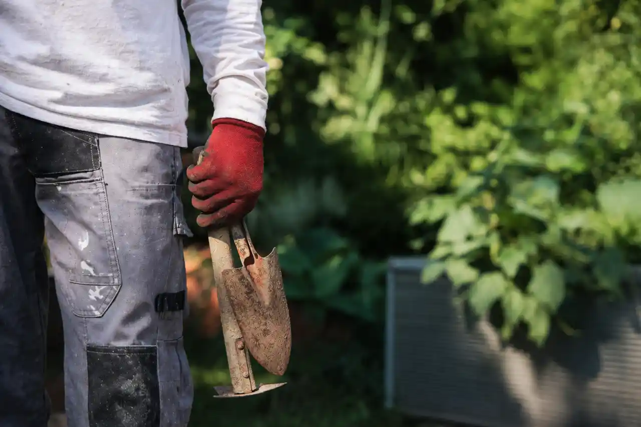 blog-diy-vs-pro-landscaping